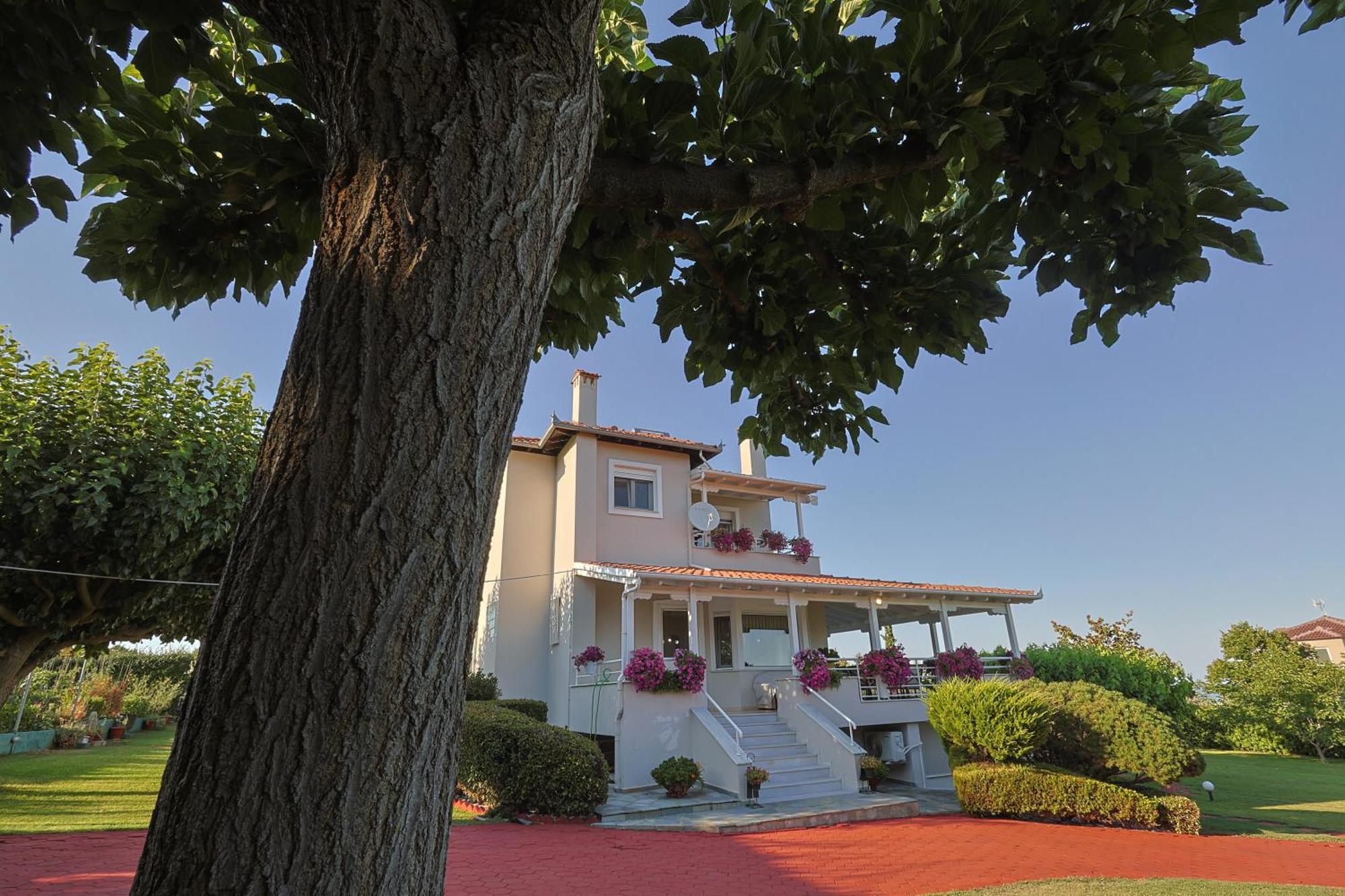 Tammy'S Garden House Villa Leptokaryá Buitenkant foto