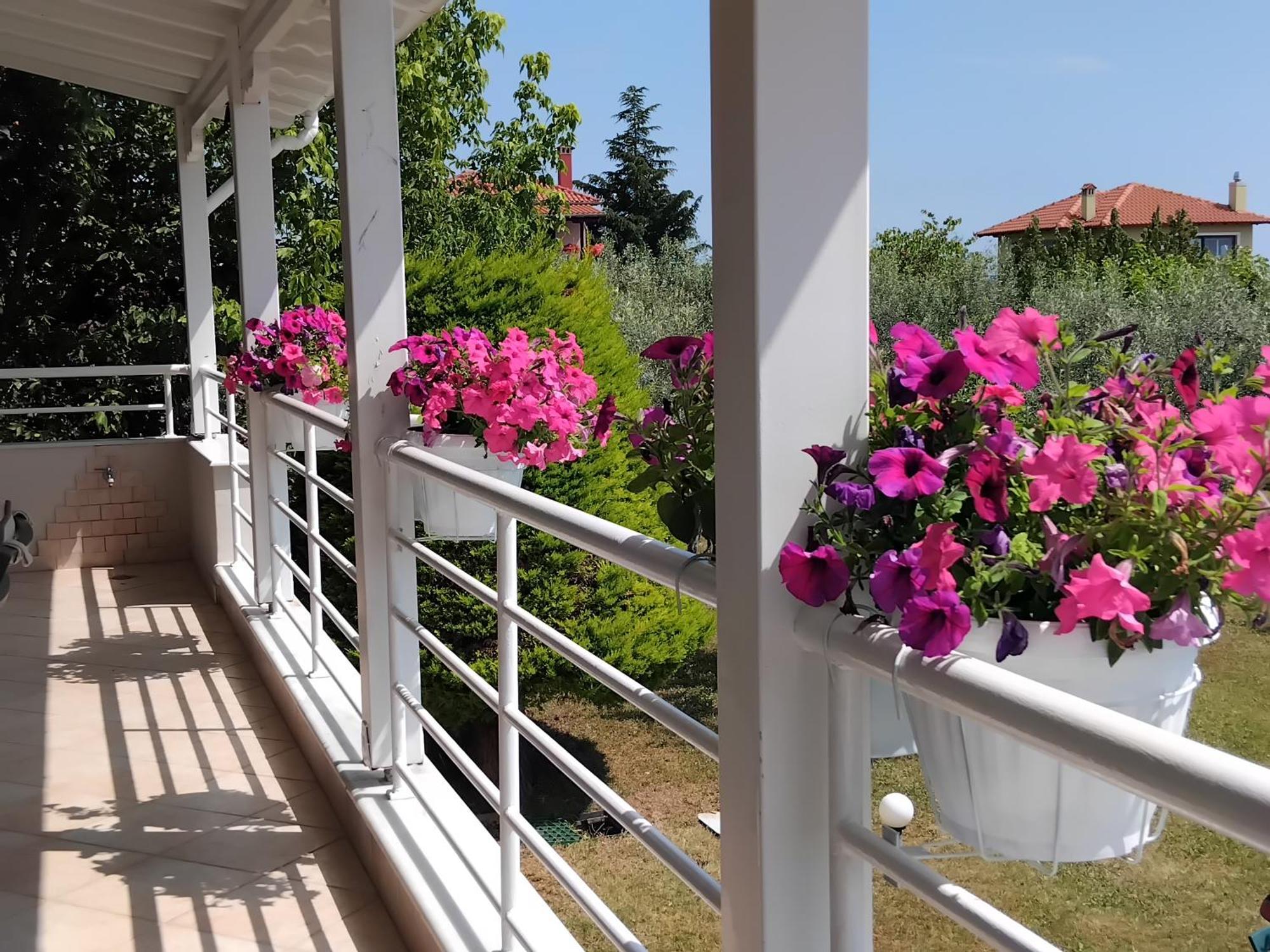 Tammy'S Garden House Villa Leptokaryá Buitenkant foto