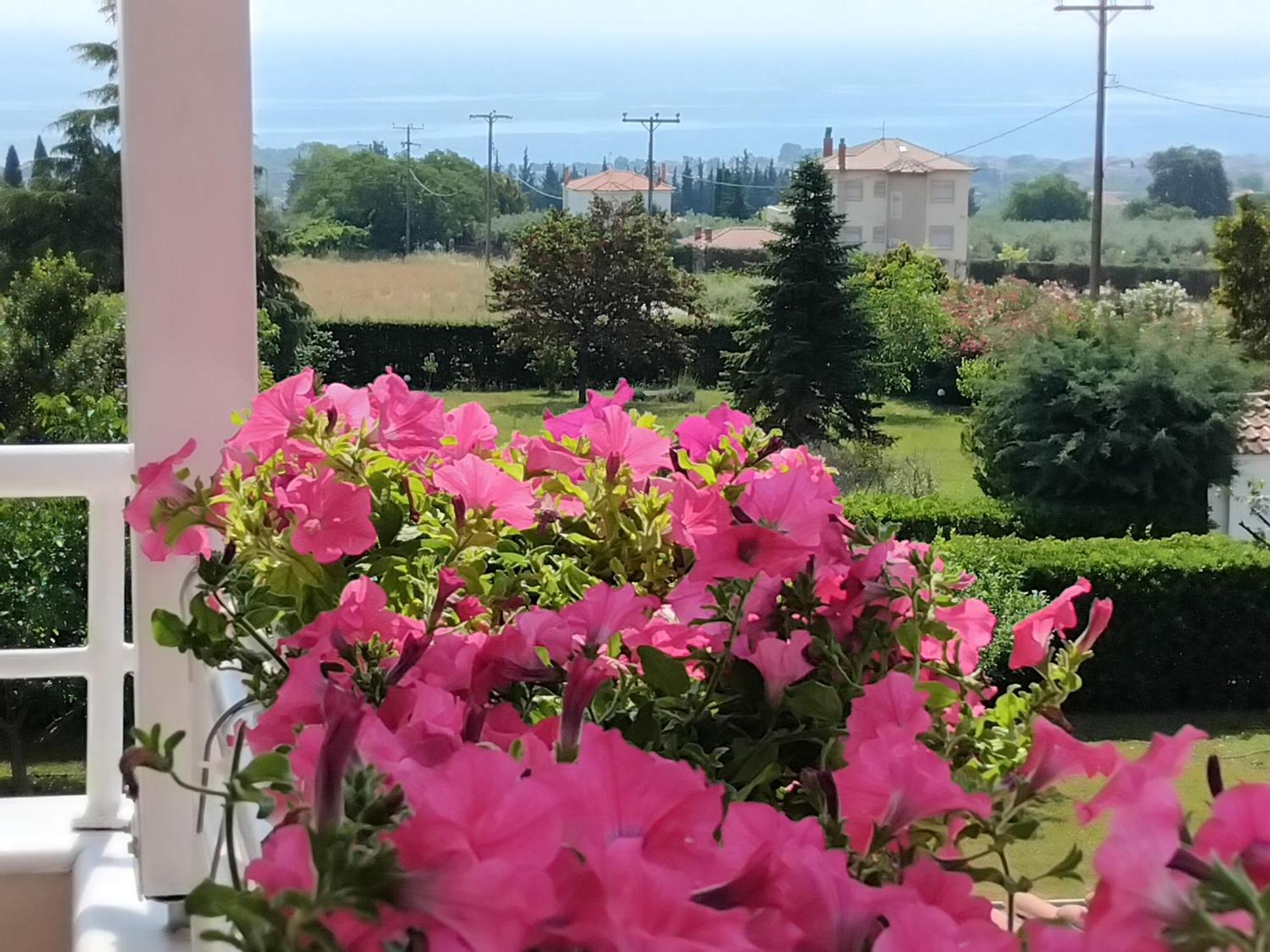 Tammy'S Garden House Villa Leptokaryá Buitenkant foto