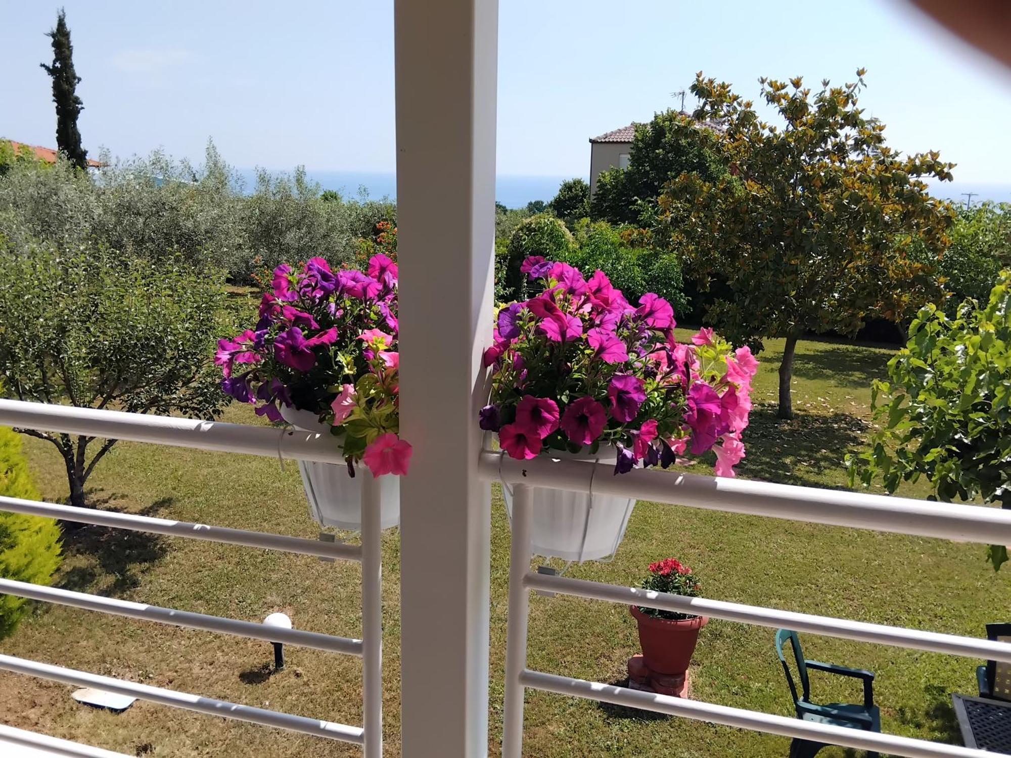 Tammy'S Garden House Villa Leptokaryá Buitenkant foto