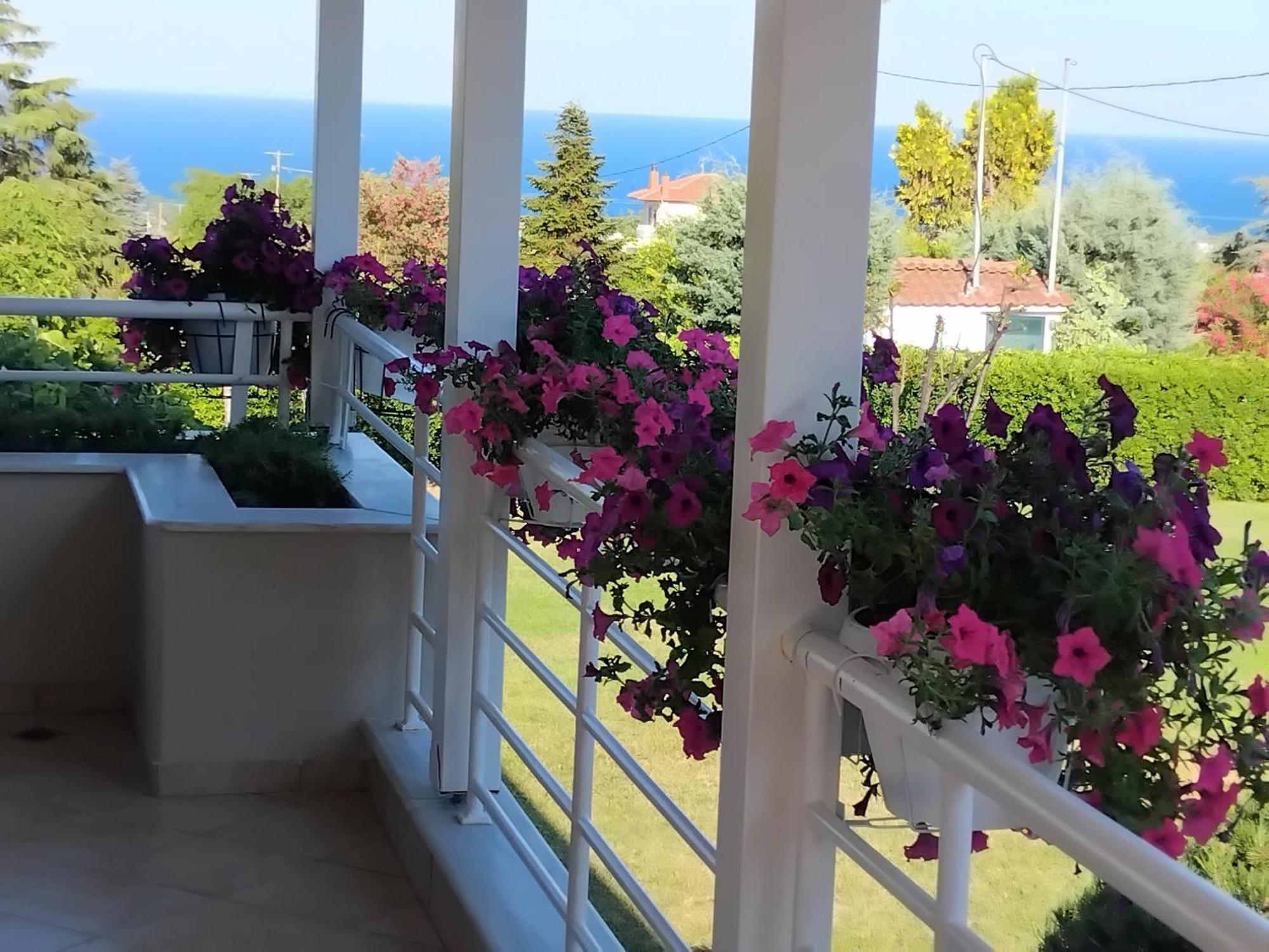Tammy'S Garden House Villa Leptokaryá Buitenkant foto